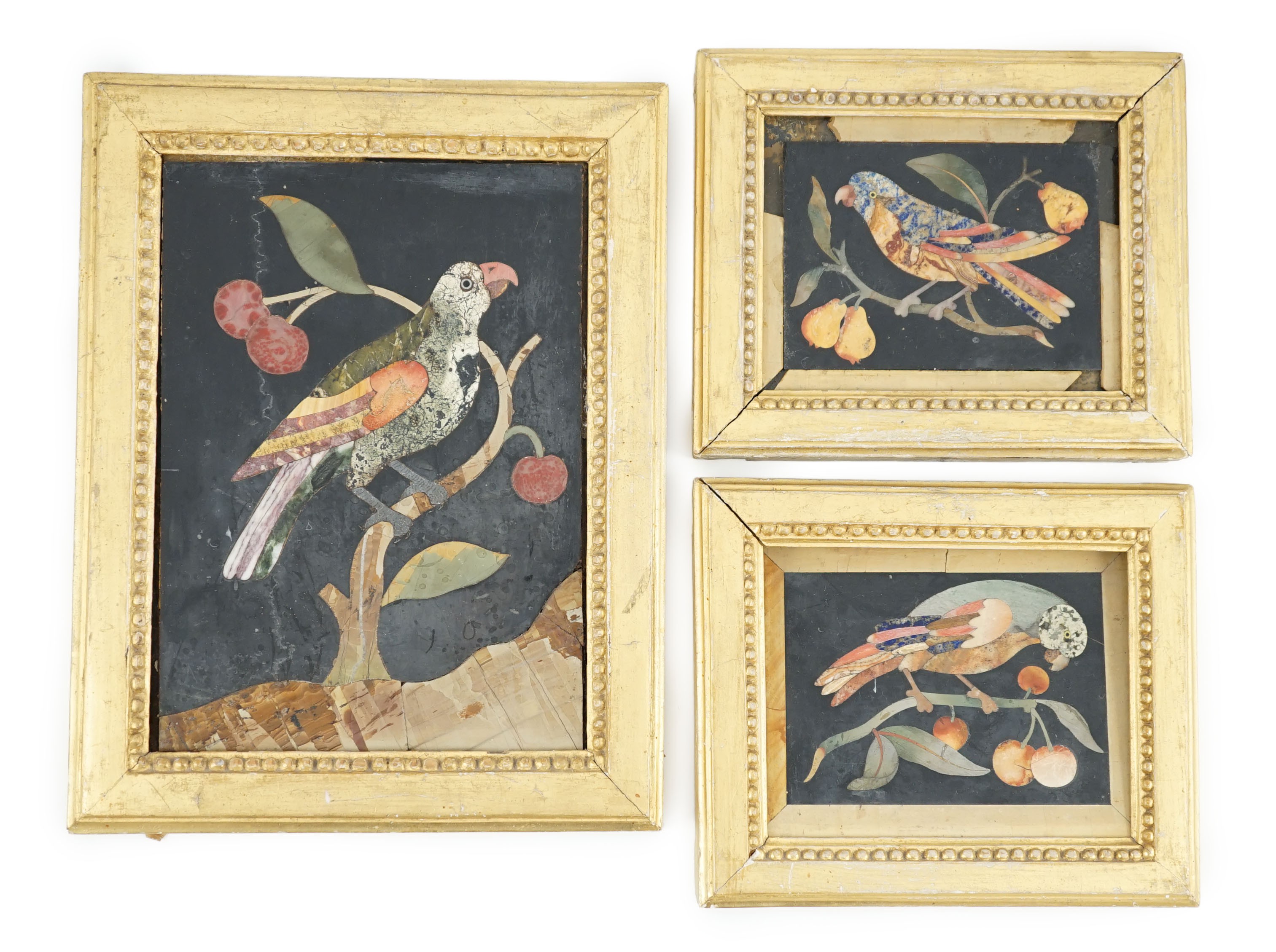 Three 17th / 18th century Italian pietra dura plaques depicting parrots on cherry branches, largest 21 x 15cm, the pair 10.5 x 13cm.